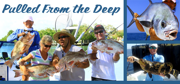 Area Fishing - Englewood, Venice, Boca Grande - Gulf Coast Charter Brokers